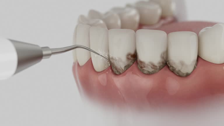 Reliable Dental contractor in Hobart, WA by Dentist Open Now
